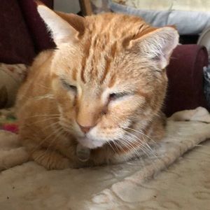 Meet your Posher, Linda